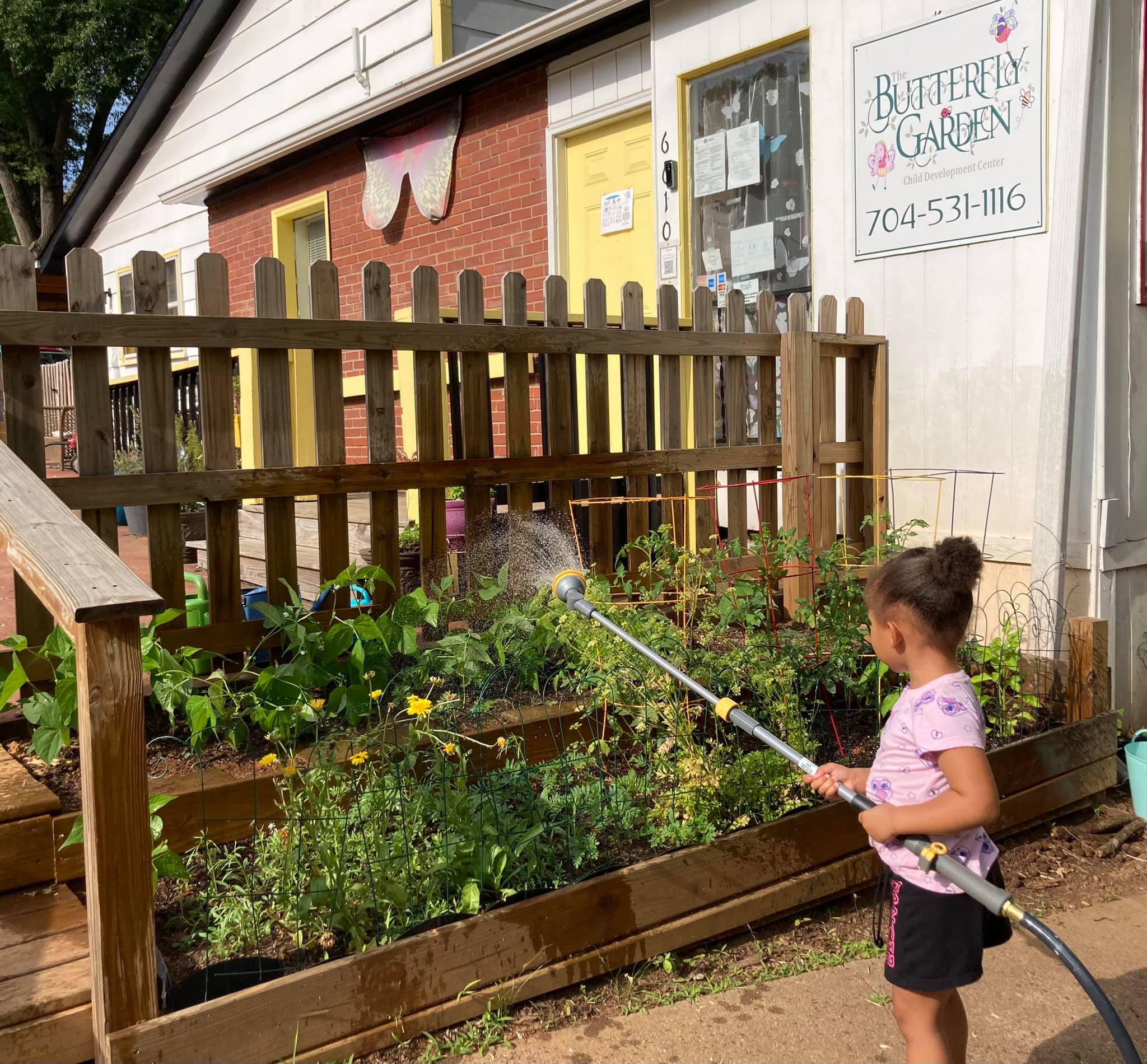 The Butterfly Garden Cdc Logo