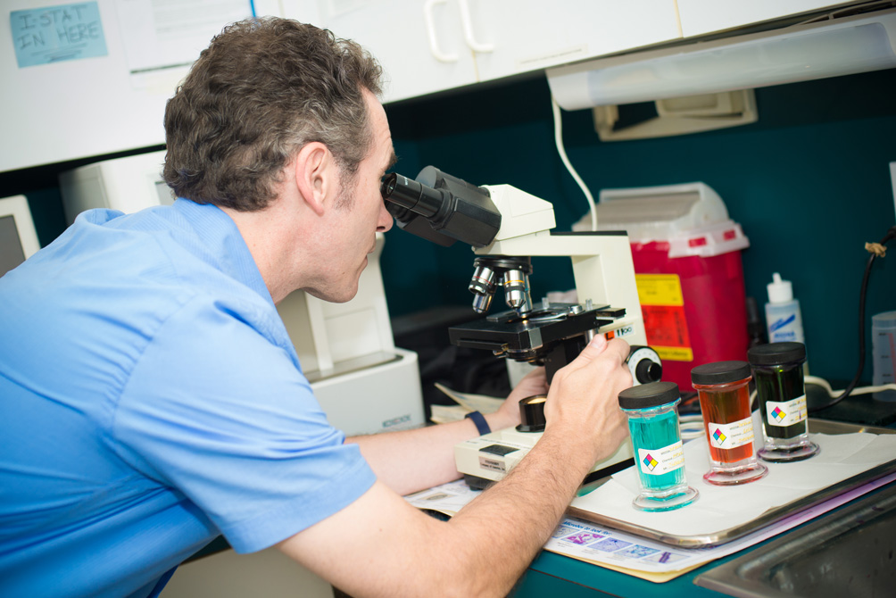 Levittown Animal Hospital's Photo