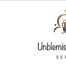 Unblemished Cleaning Co.