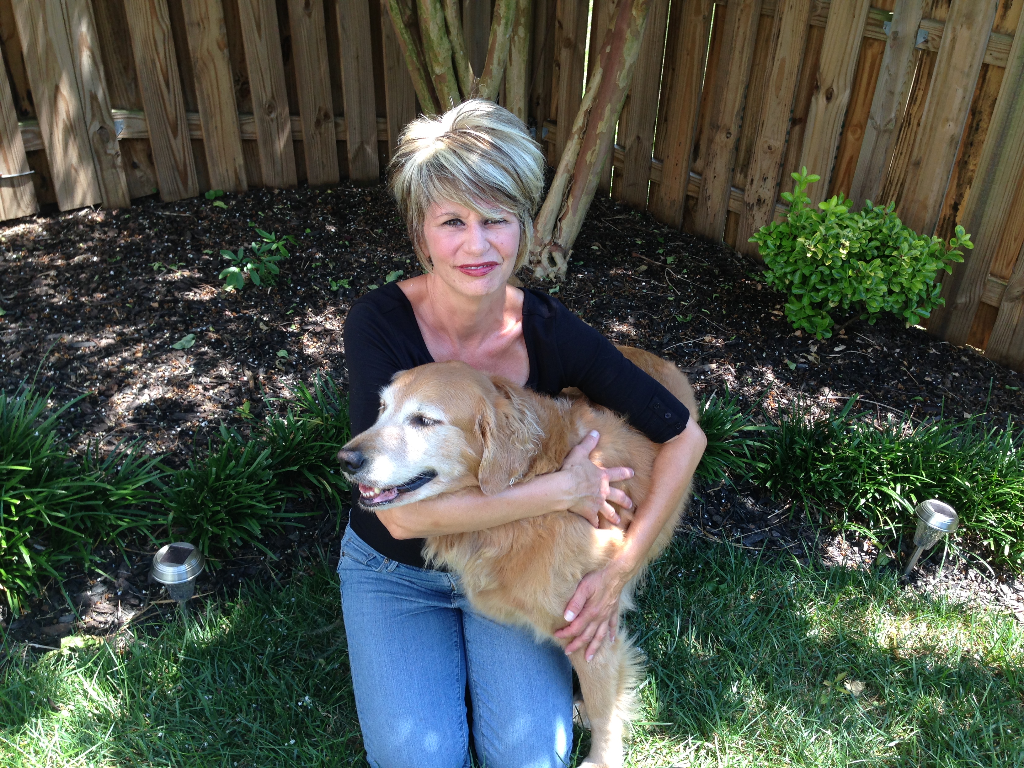 Go Doggie Go's Photo