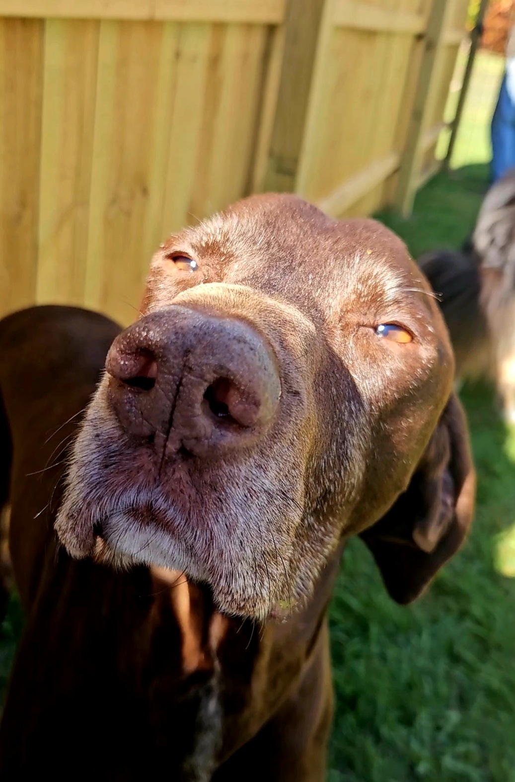 Snips & Snails Pet Sitting's Photo