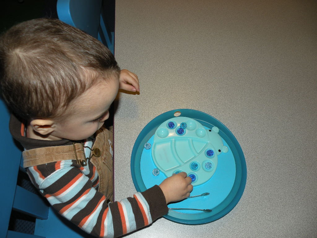 Bambinos Bilingual Montessori's Photo