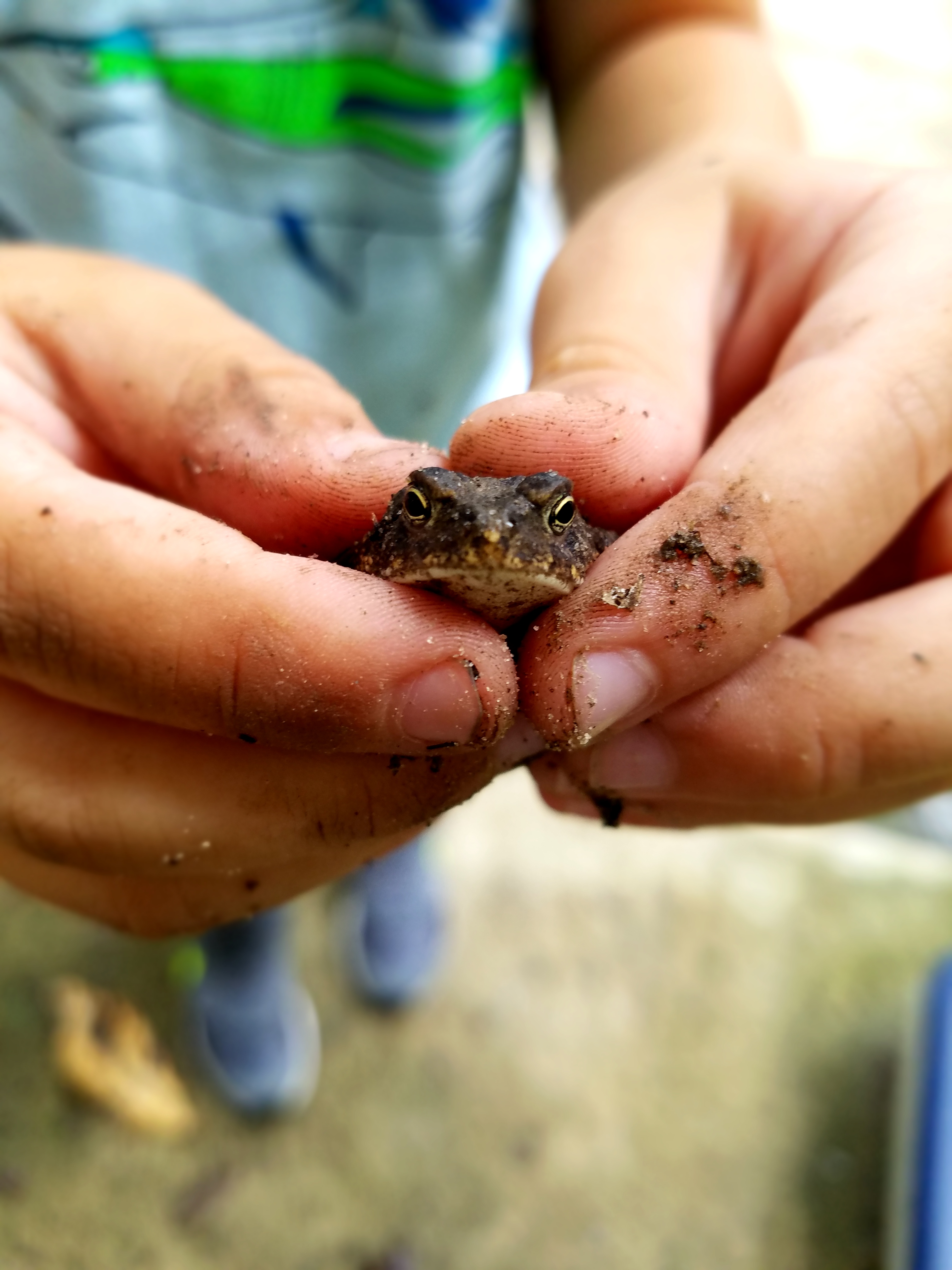 Nature Connect's Photo