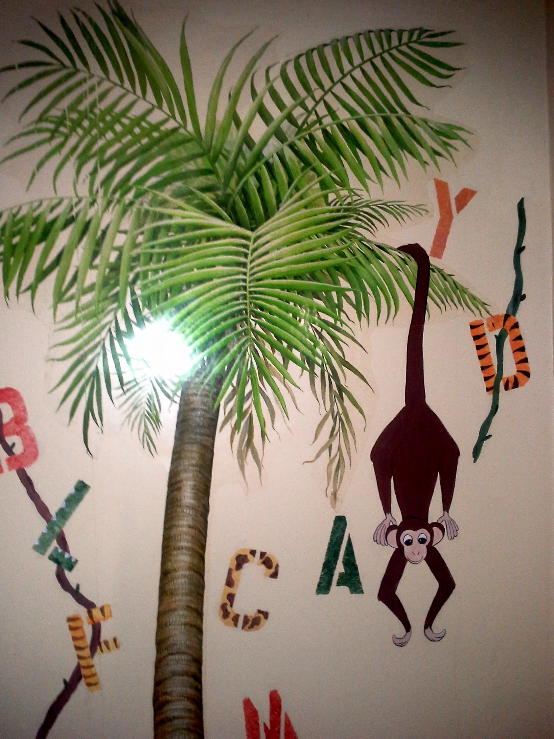 Donna's Little Darlings's Photo