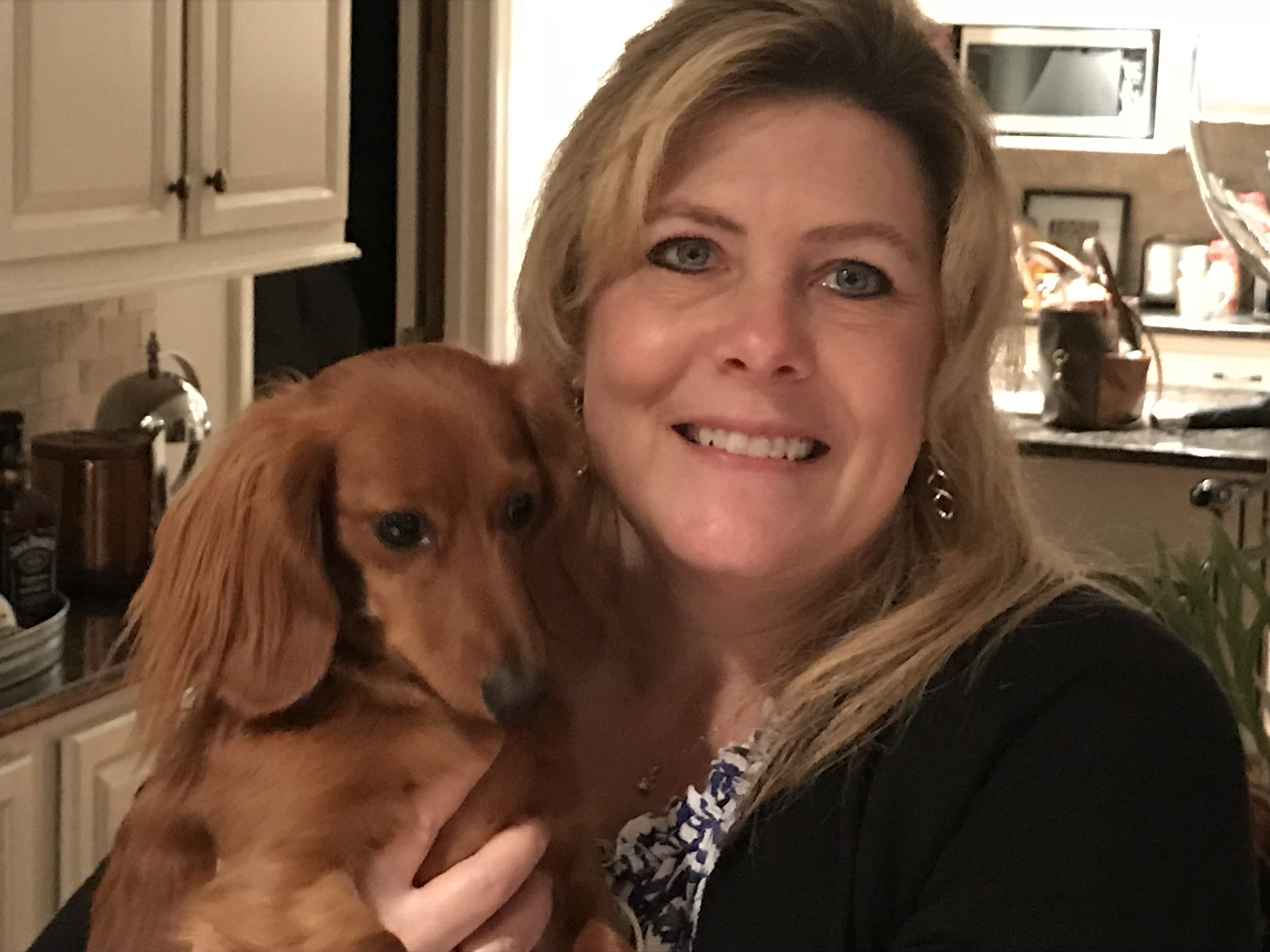 Wags to Whiskers In-Home Pet Sitting & Dog Walking's Photo