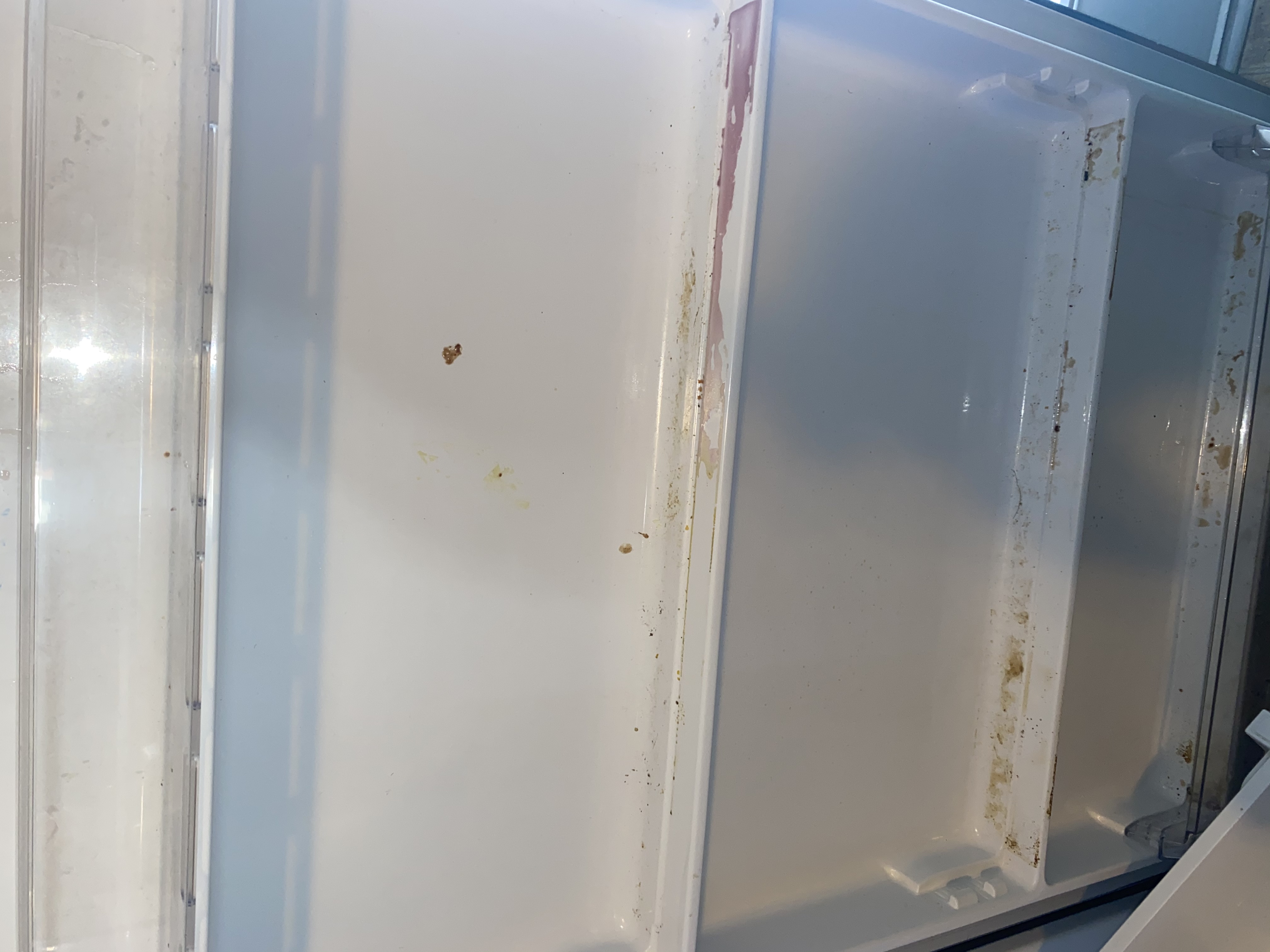 Cleaning With A Purpose's Photo