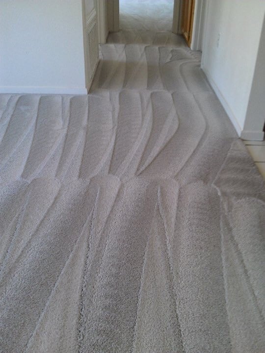 Royal Carpet & Cleaning Services LLC's Photo