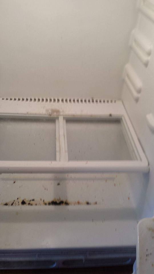 Dynamic Cleaning Solutions's Photo