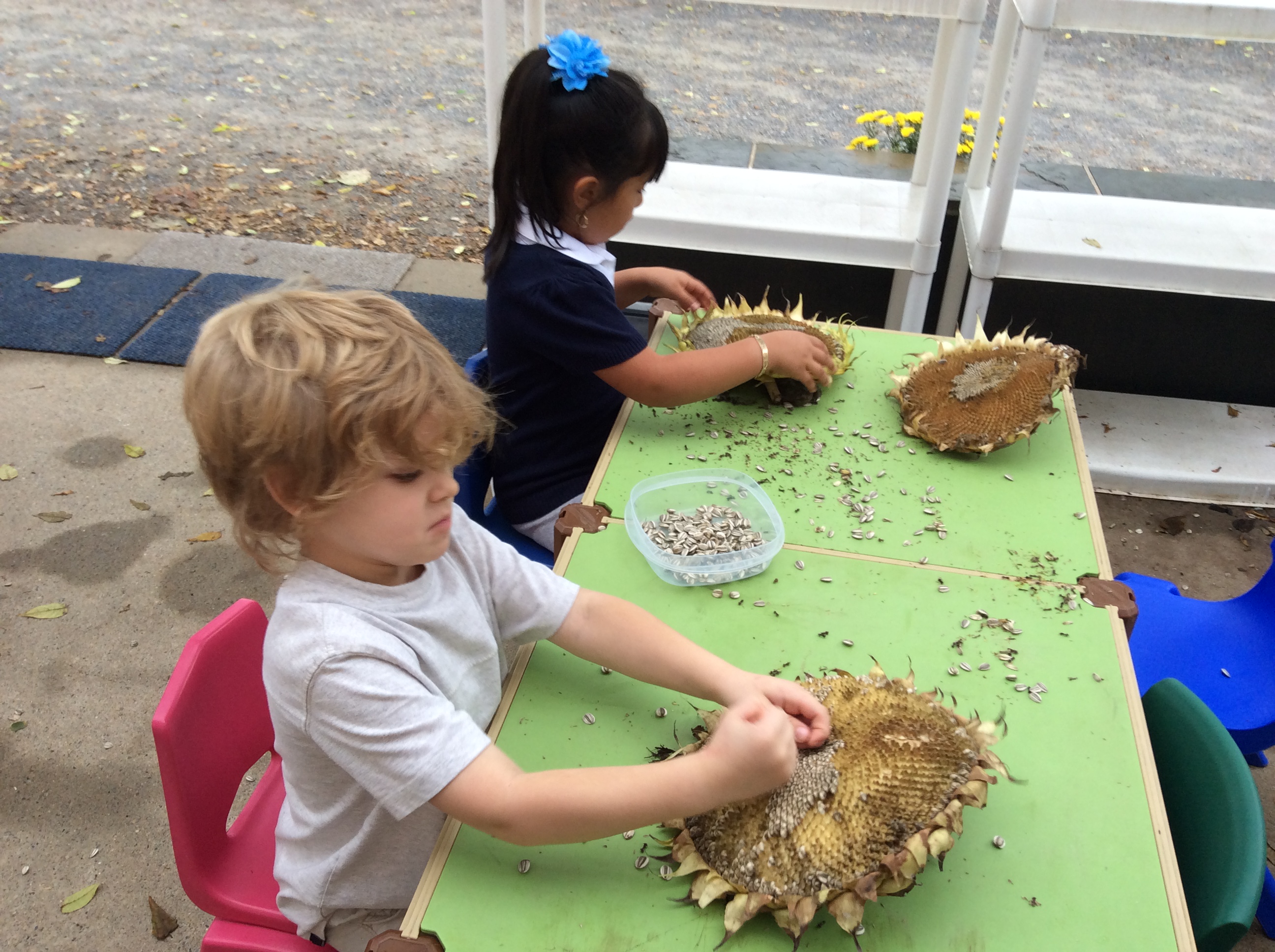 Village Montessori School's Photo