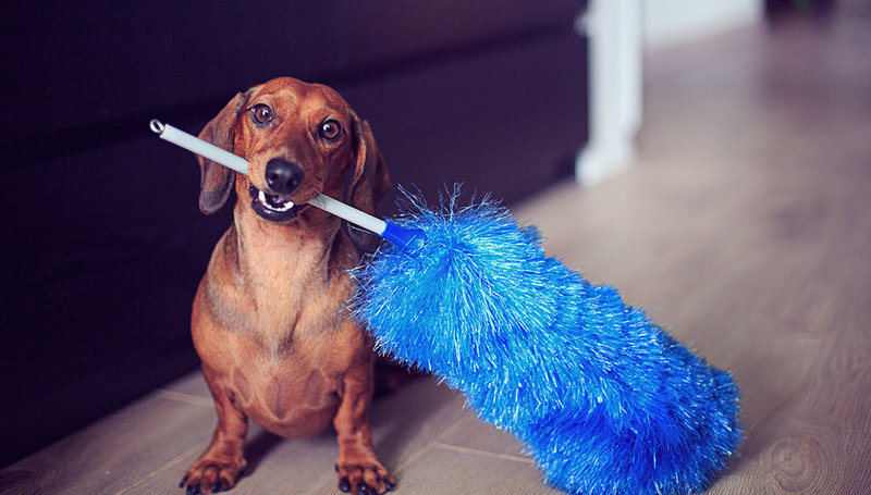 Sylvie's Cleaning Logo