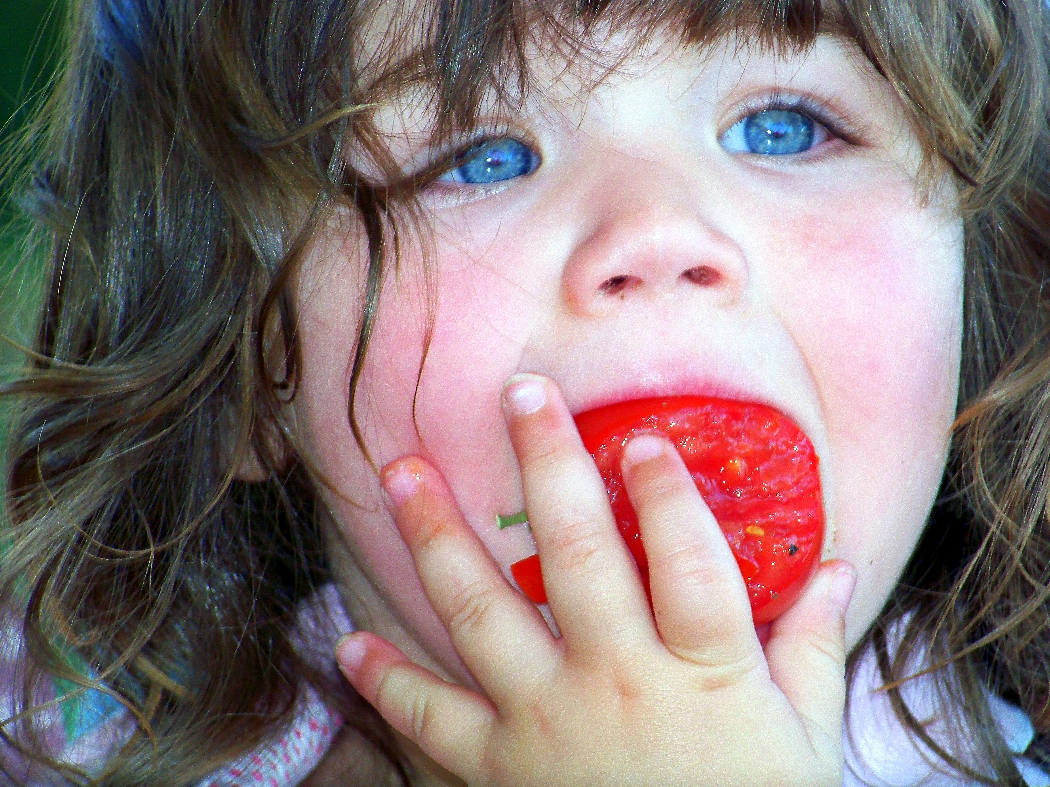 My Little Farm's Photo