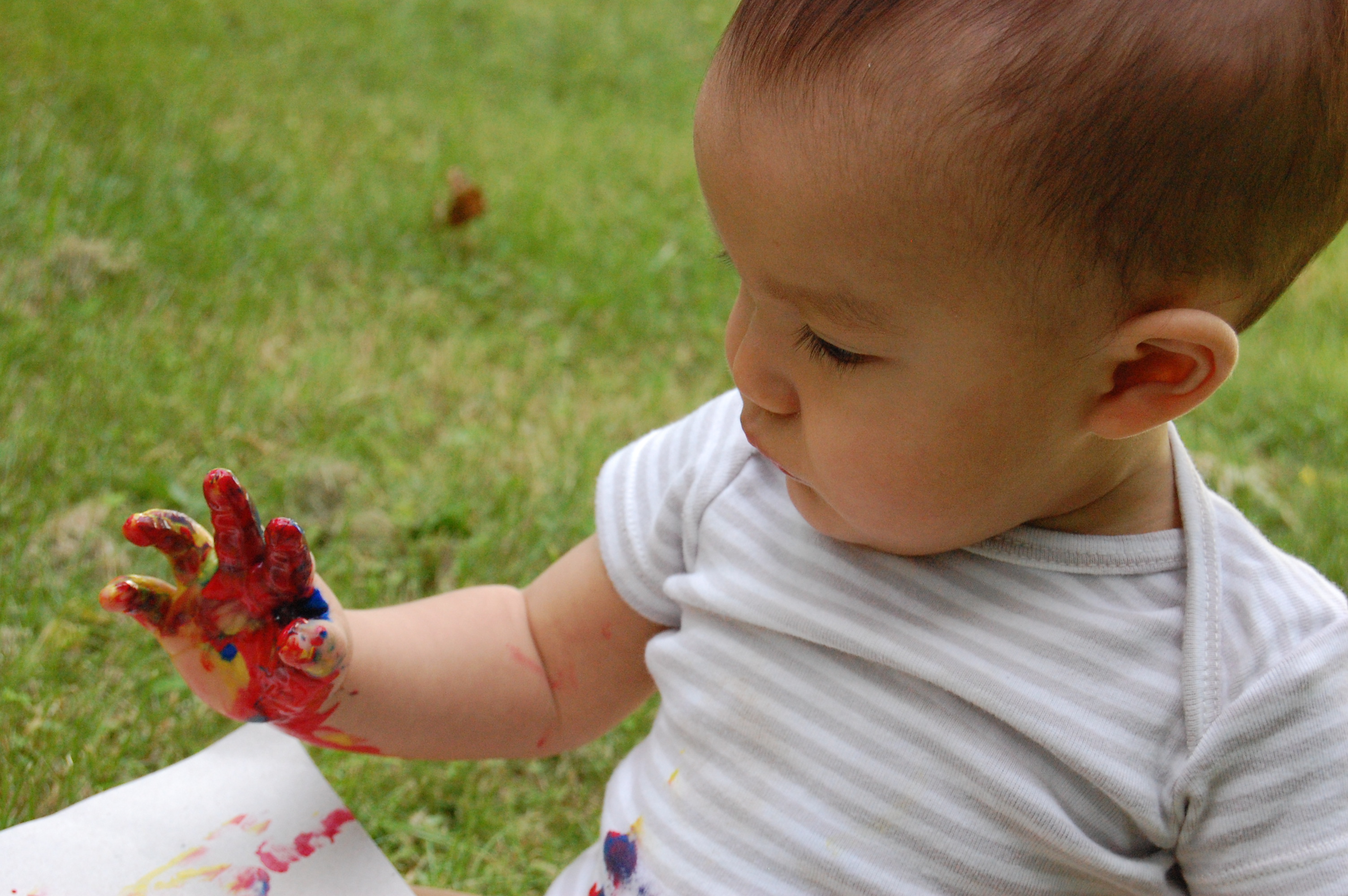 The Alexander Garden School's Photo