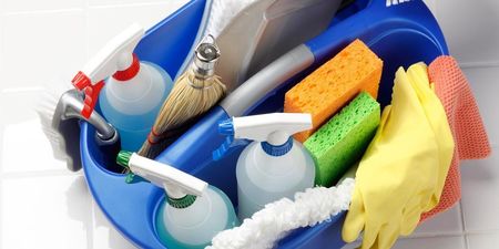 Luz Cleaning Services