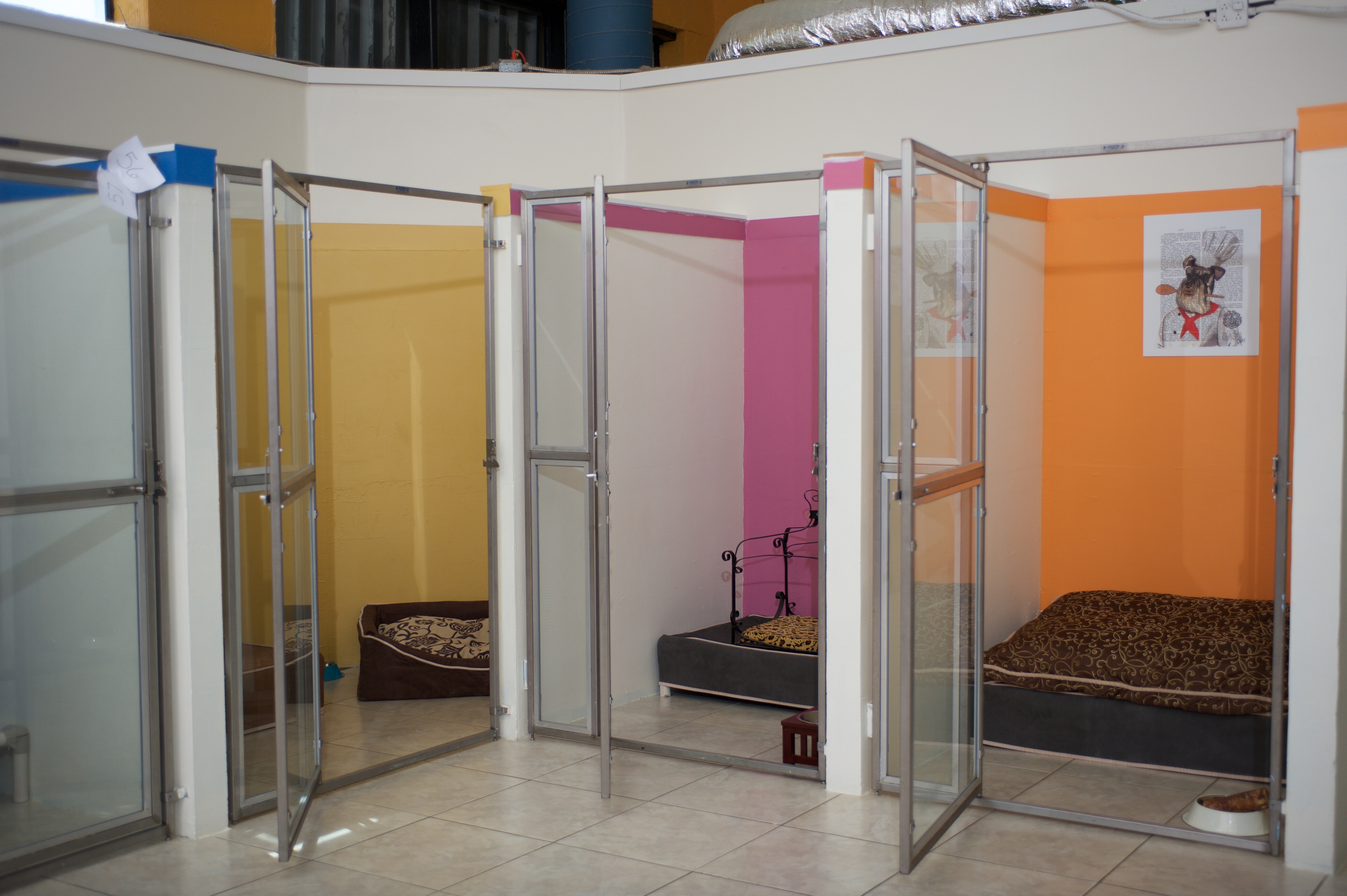 Very Important Paws's Photo