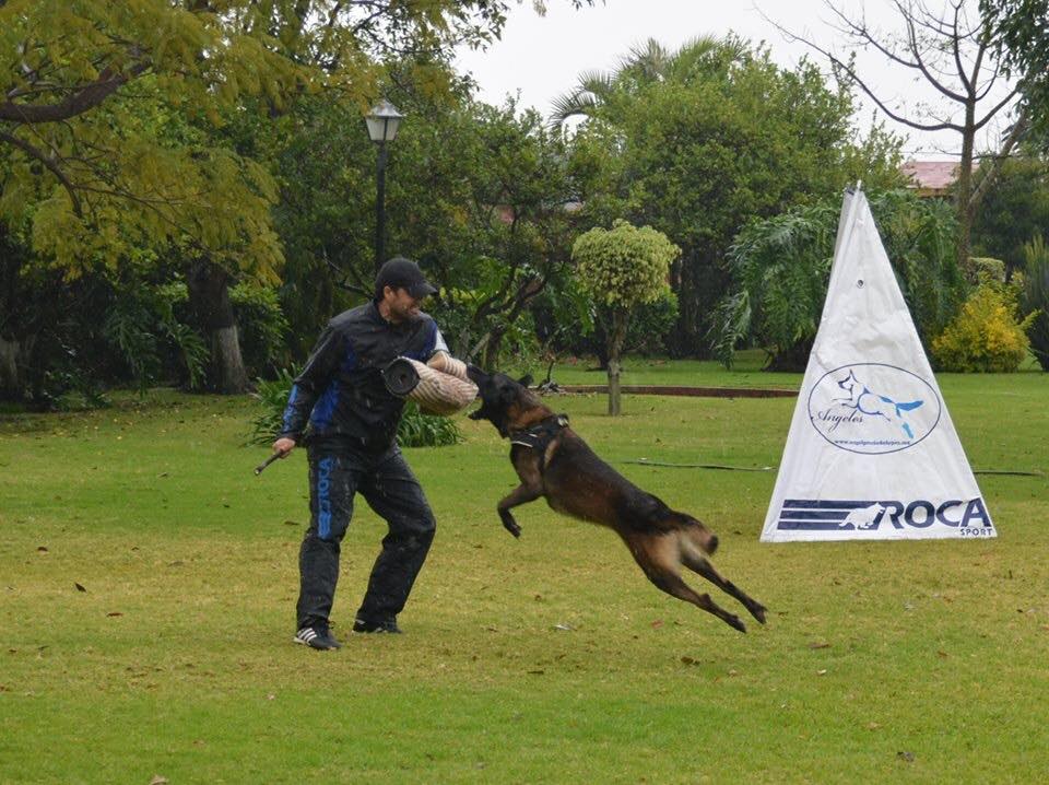 Happy Pets Resort's Photo