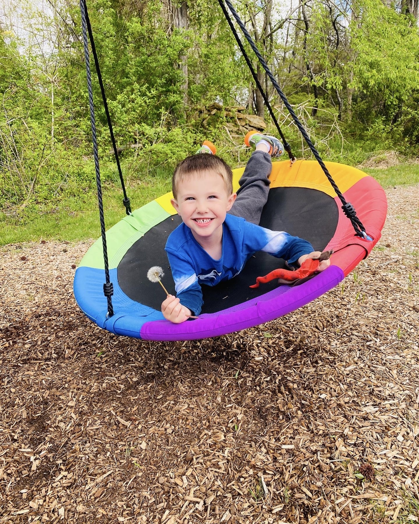 Little Chickadees's Photo