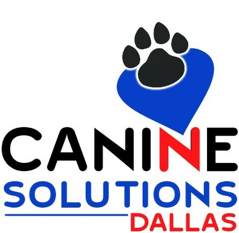 Canine Solutions Dallas Logo