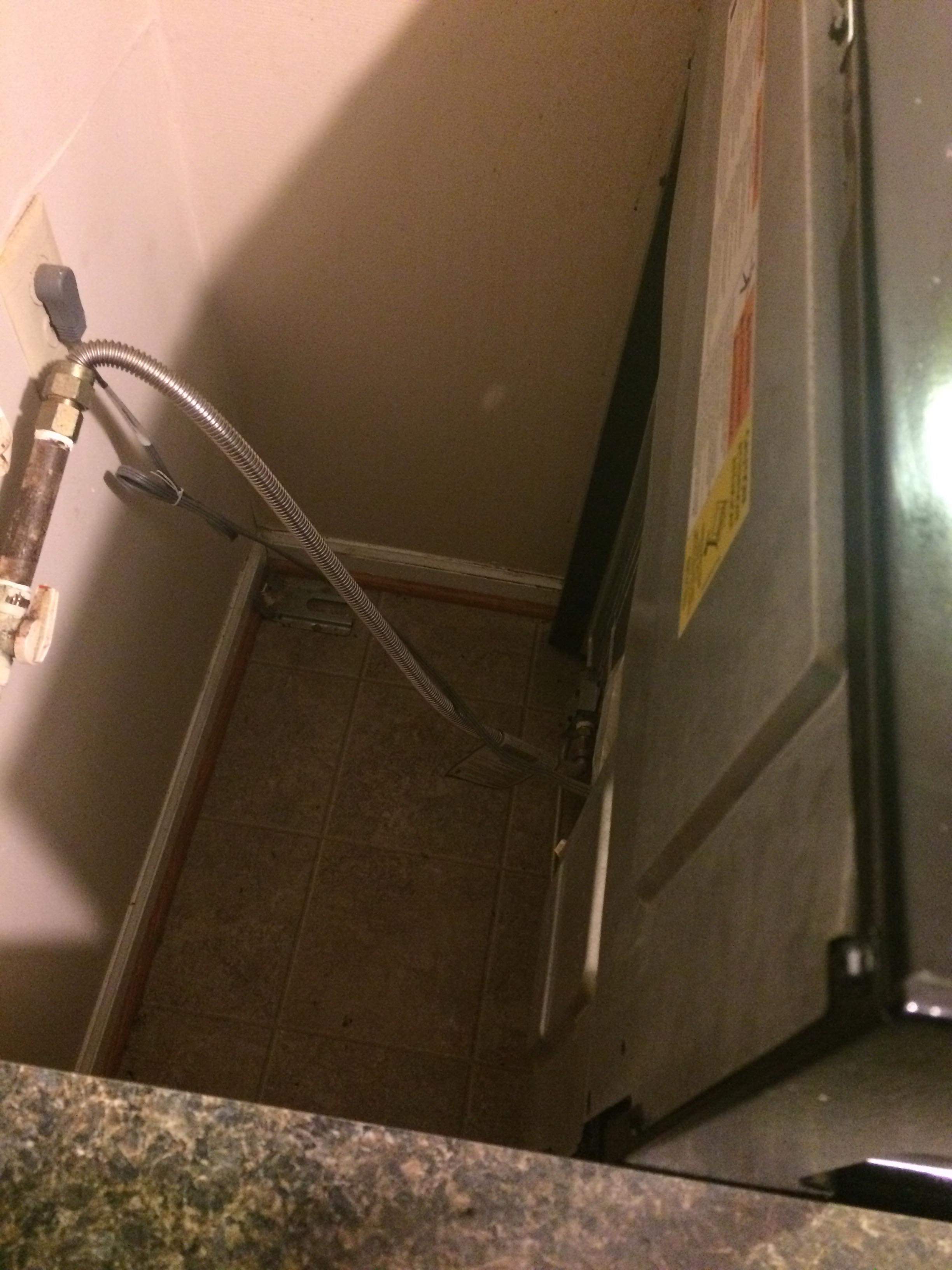 The White Glove Effect's Photo