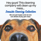 Seaside Cleaning Collective by On The Mark Services, LLC