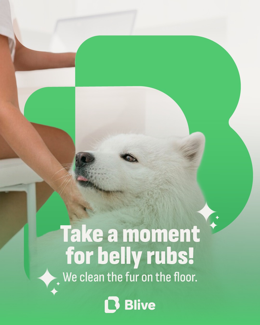 Blive Cleaning's Photo