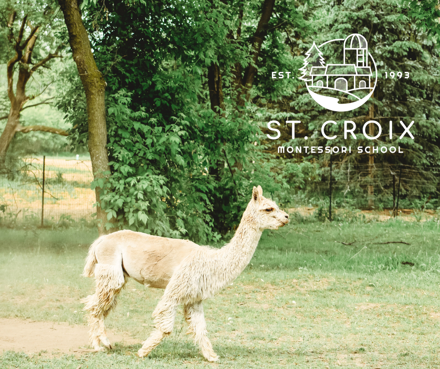 St. Croix Montessori School's Photo