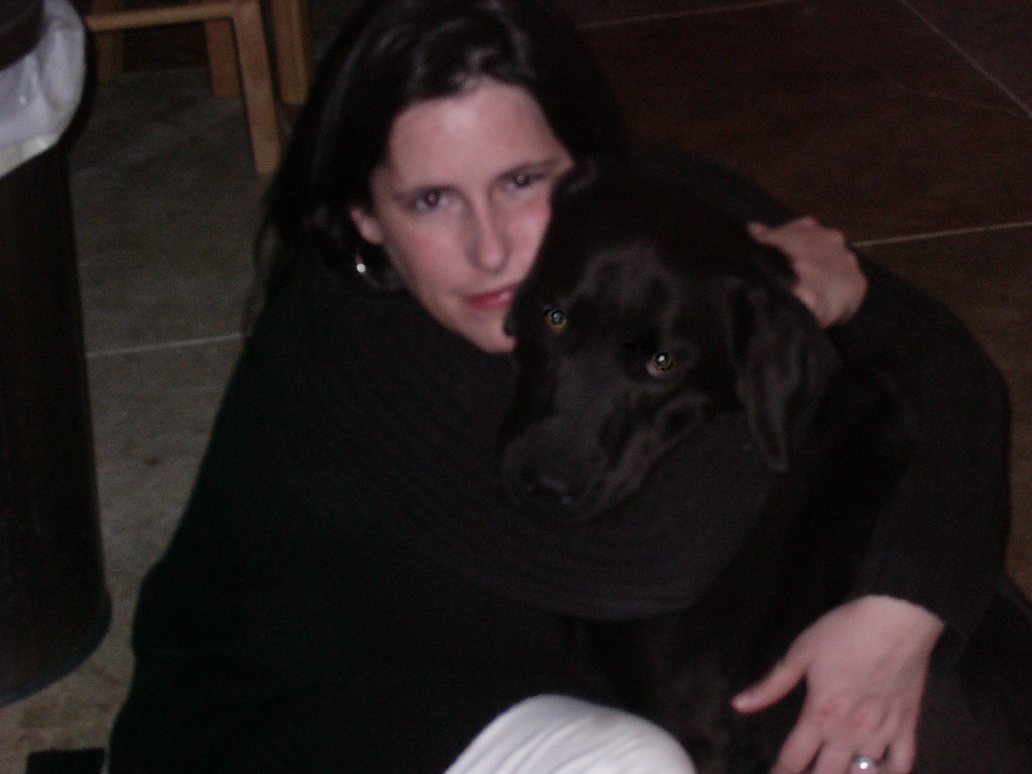 Good Dog Animal Care's Photo