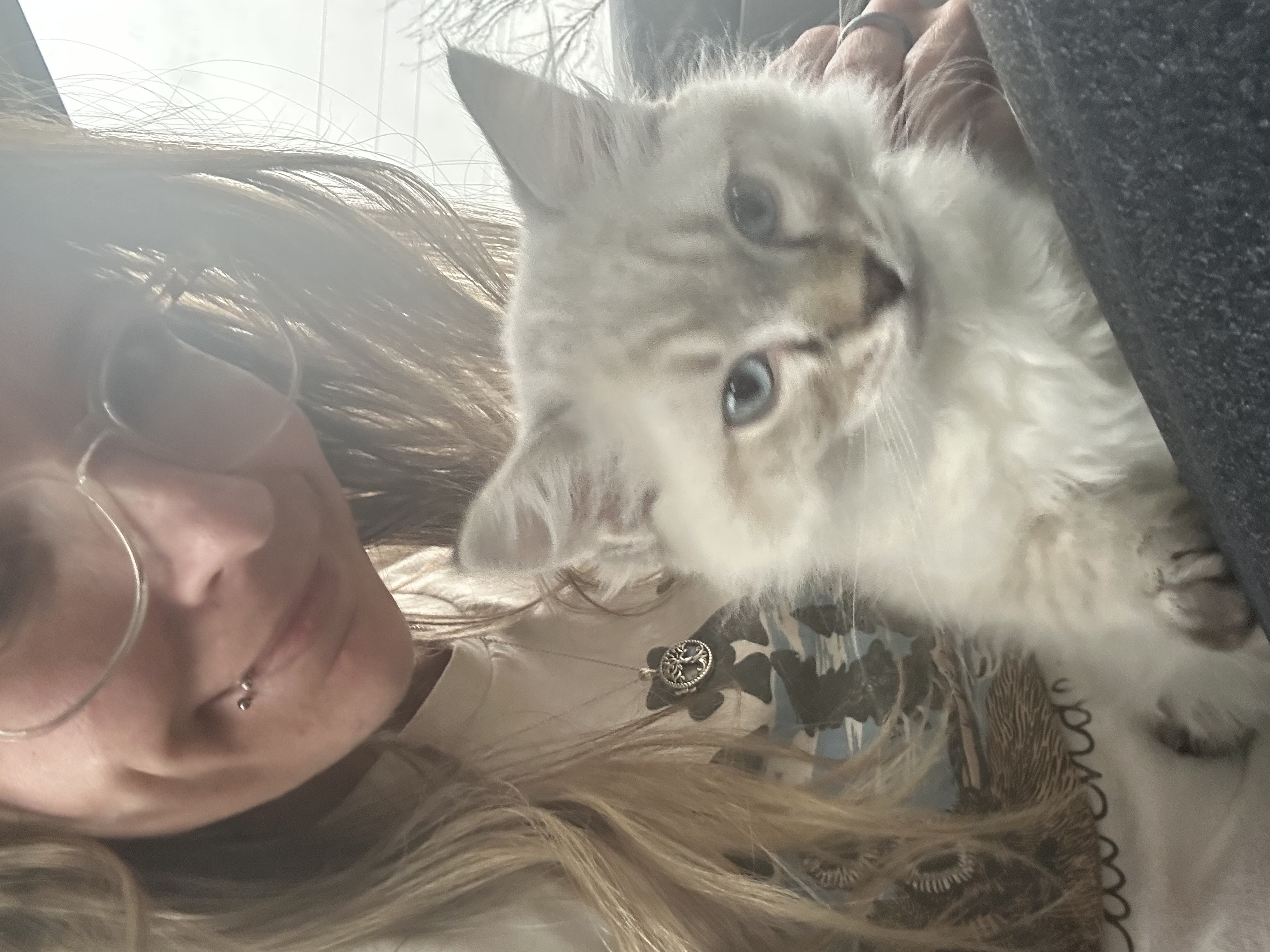 Alventura Pet Transport's Photo