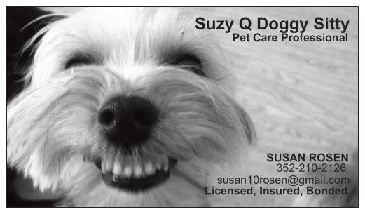 Suzy Q Doggy Sitty Logo
