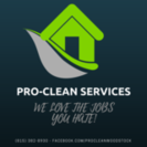 Pro-Clean Services