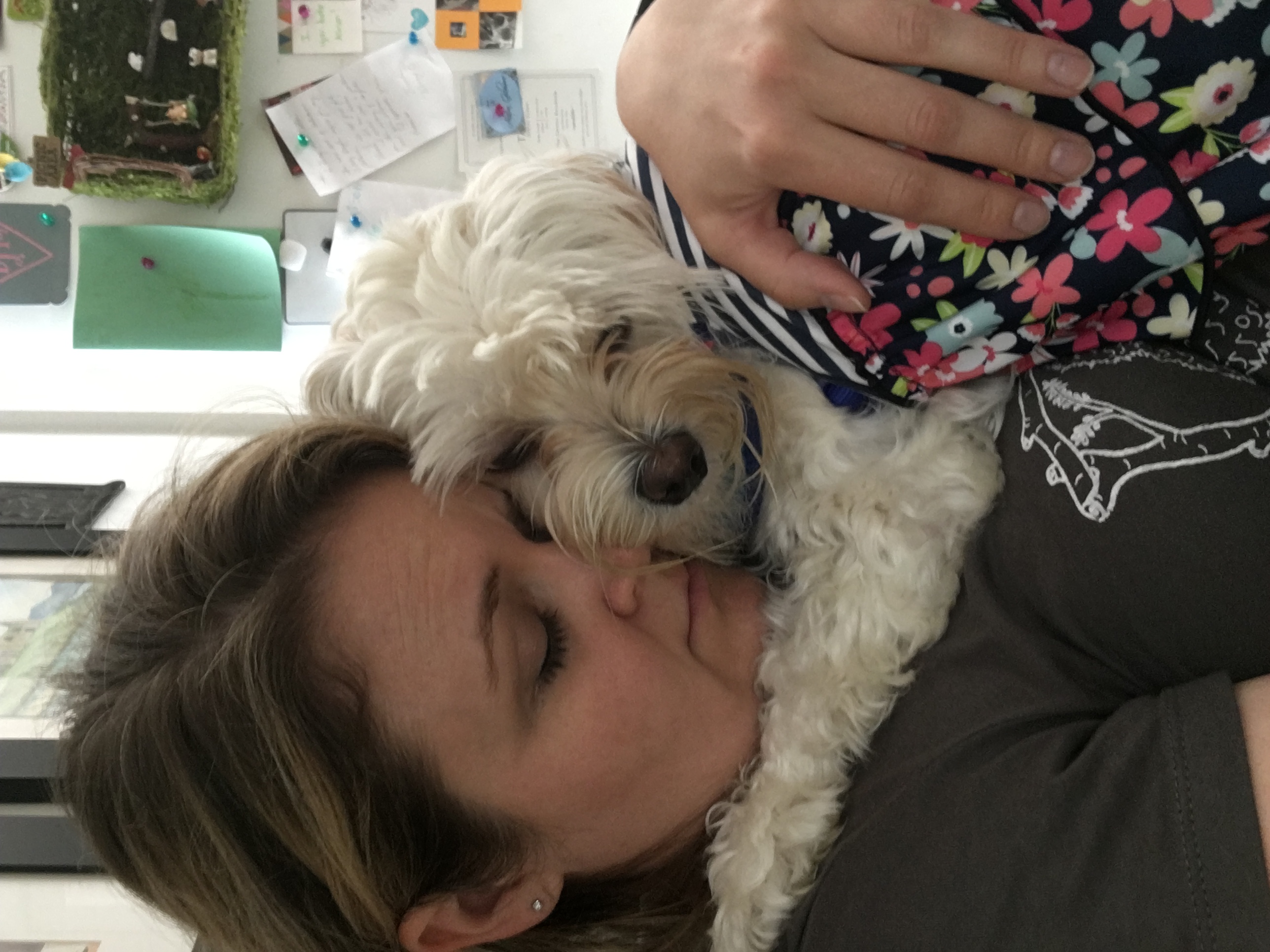 Houston Creatures Great and Small's Photo