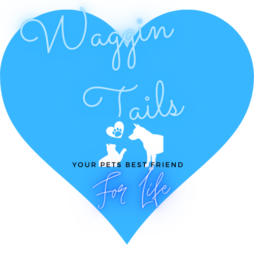 WAGGIN' TAILS's Photo