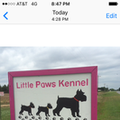 Little Paws Kennel