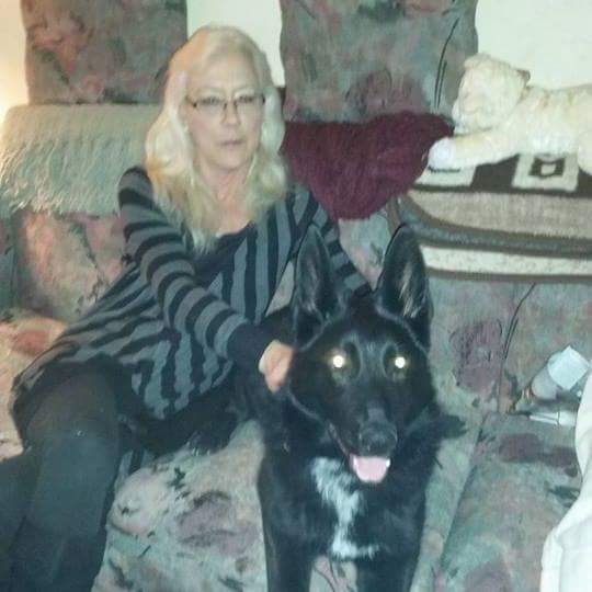 D and Cleaning's Photo