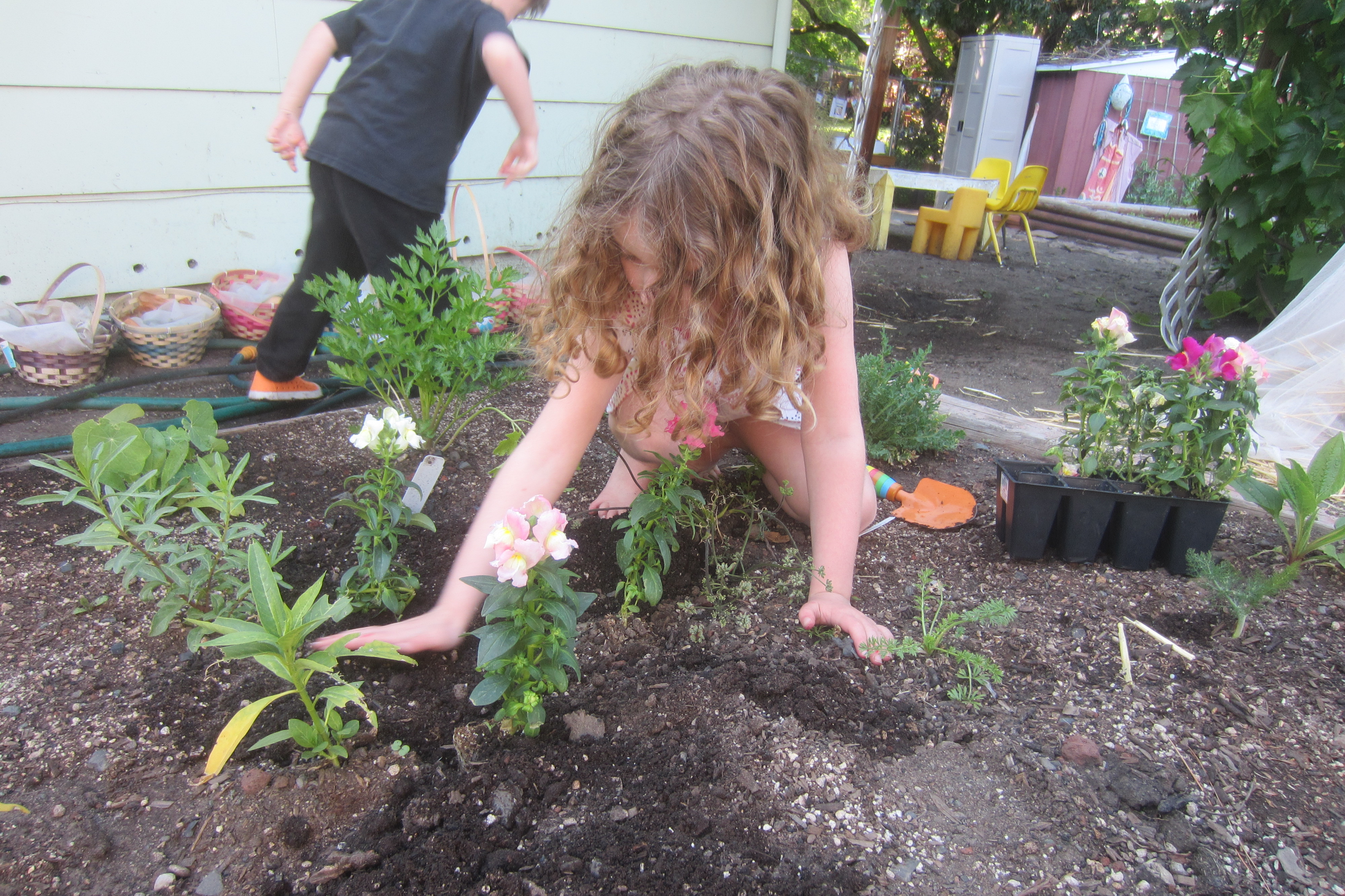 Mixed Greens Preschool's Photo
