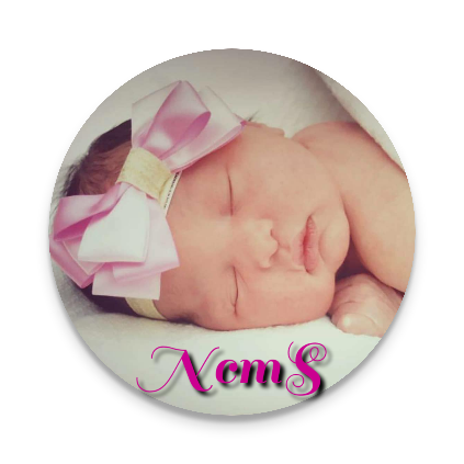 Na'yelis Companion Mother Aide Services Logo