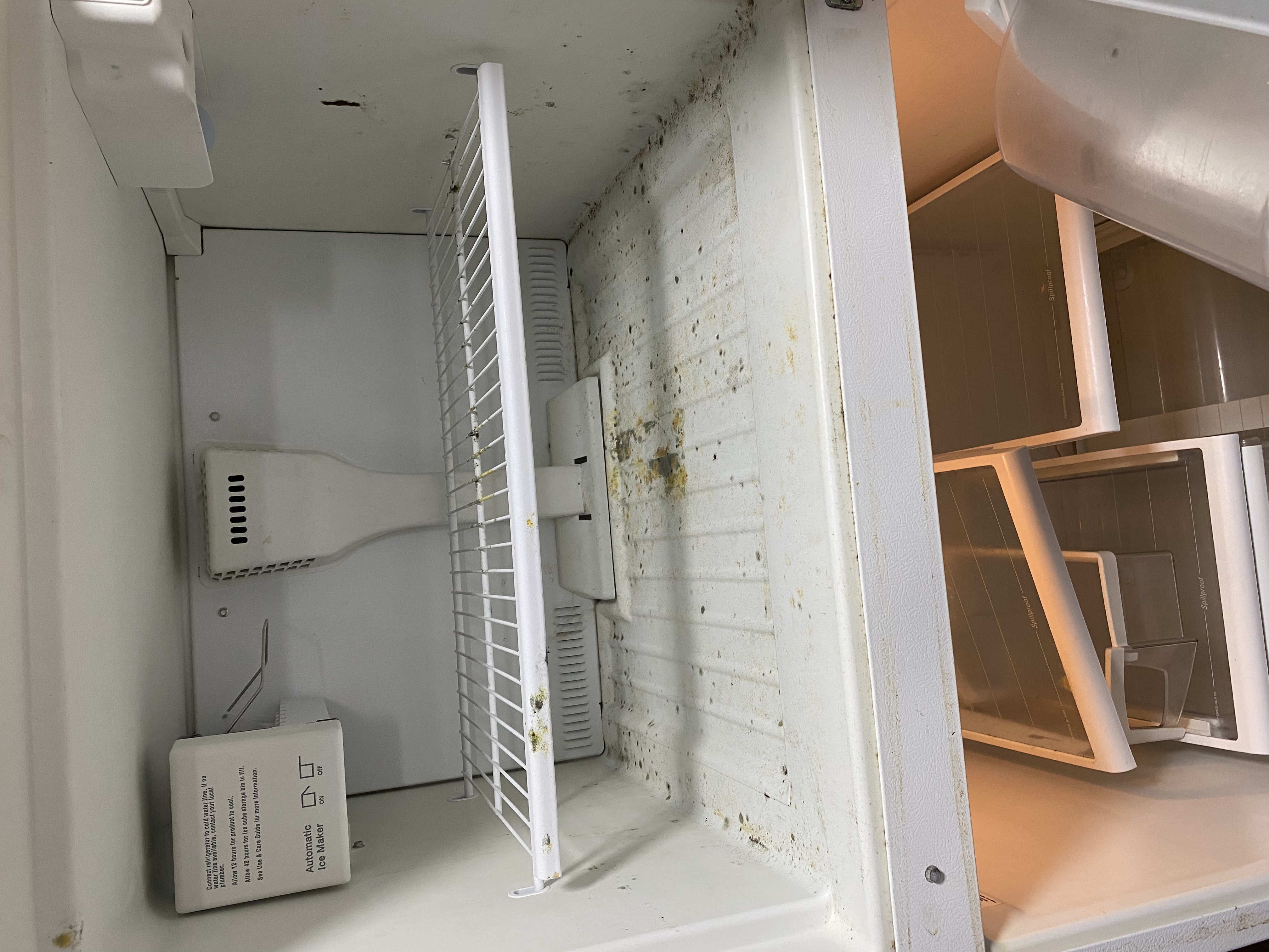 Keeping It Tidy Cleaning Services's Photo