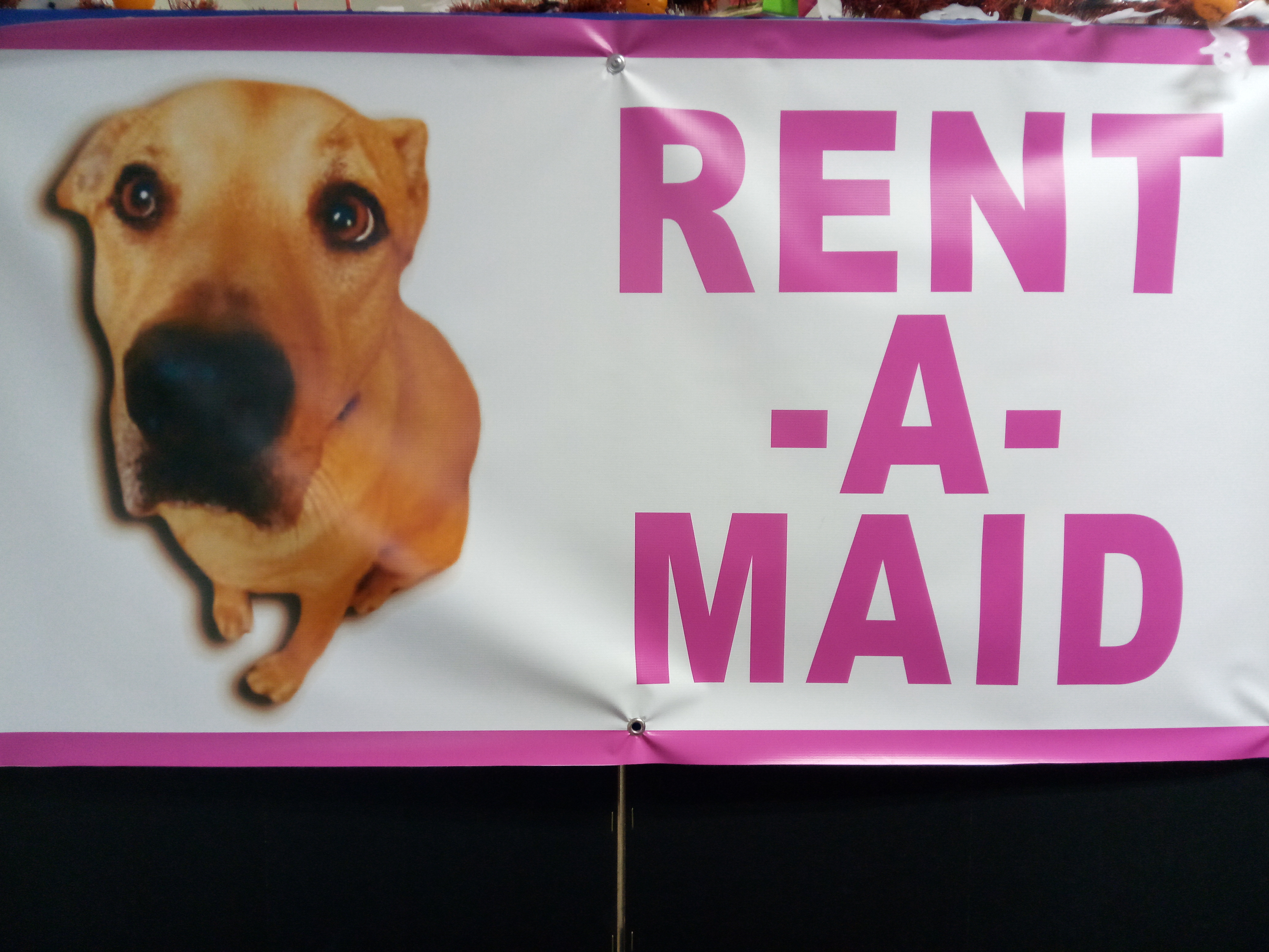 Rent-A-Maid's Photo