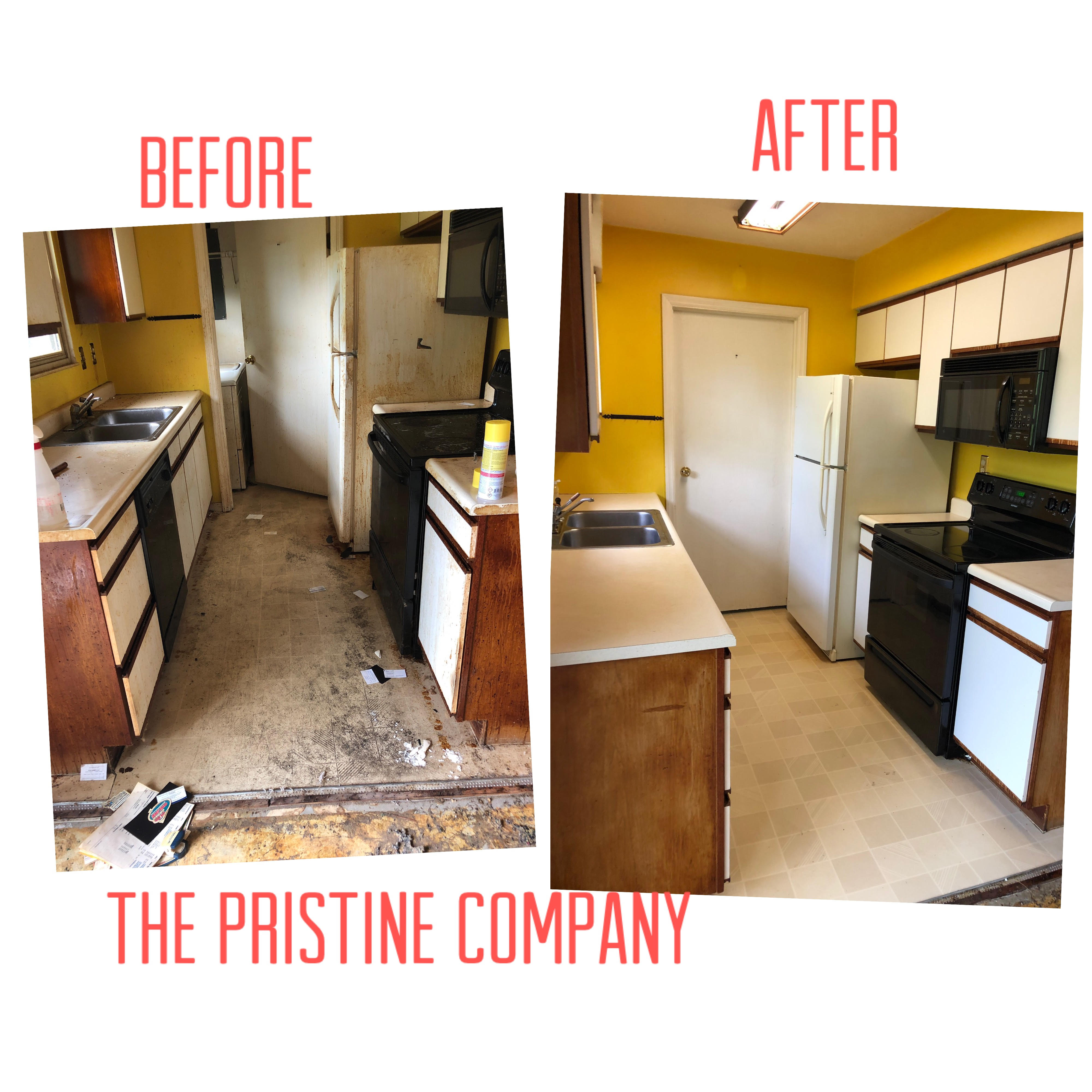 The Pristine Company's Photo