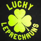 Lucky Leprechauns Interior & Exterior Cleaning Services