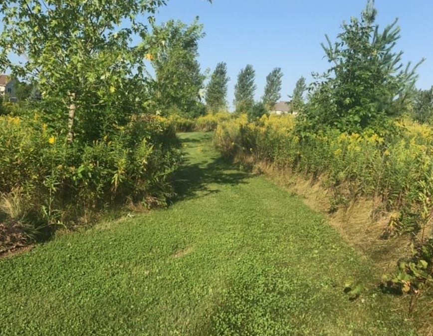 God's Little Miracles Daycare's Photo