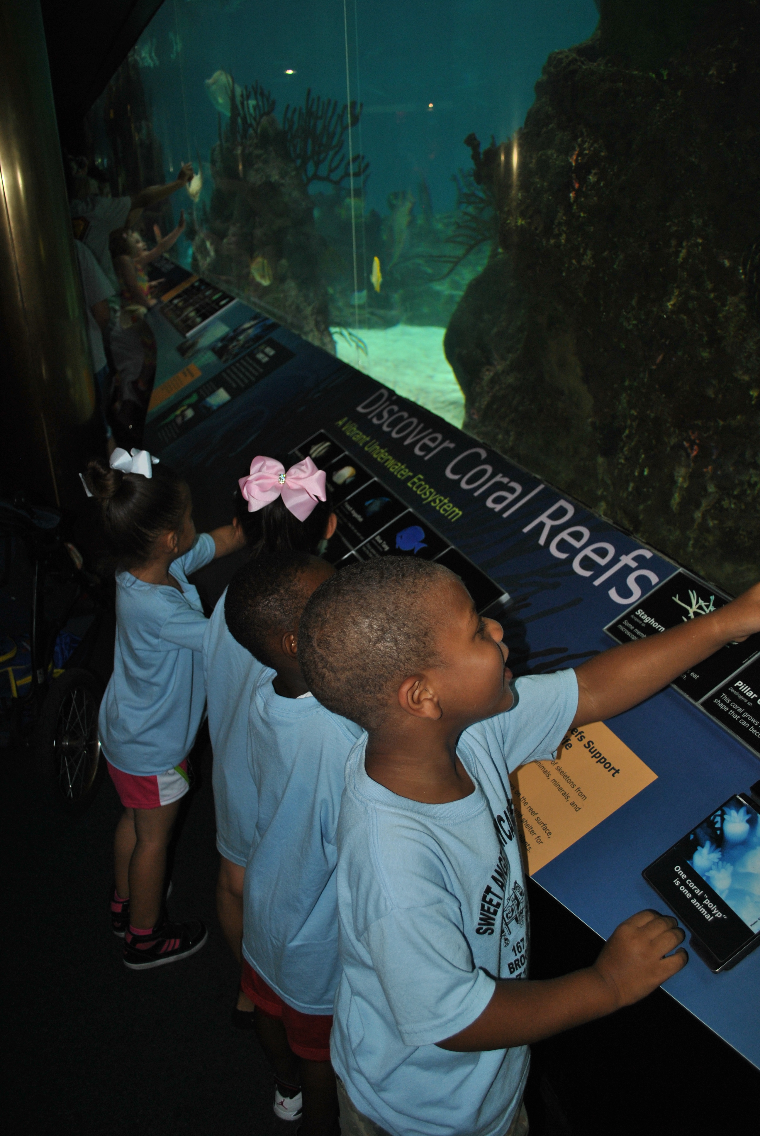 Sweet Angels Daycare's Photo