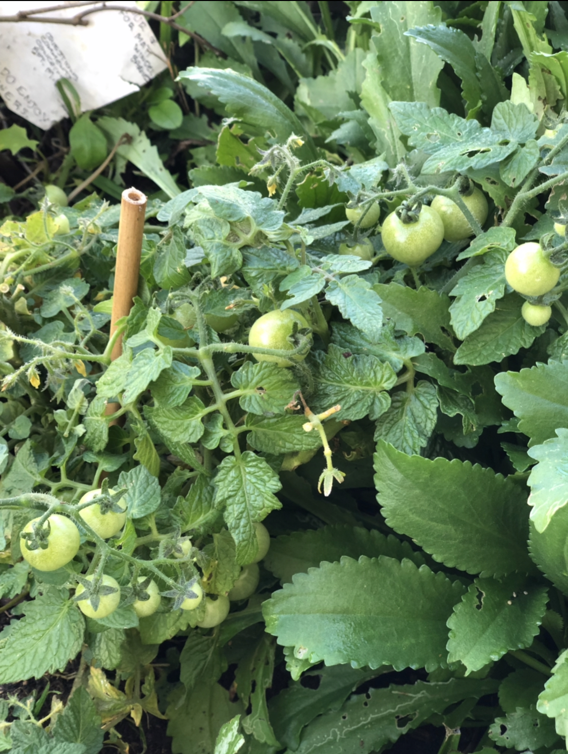 Happy Panda Day Care's Photo