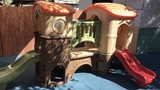 Early Childhood Learning