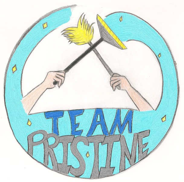 Team Pristine's Photo