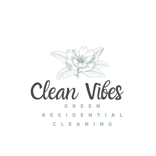 Clean Vibes Logo