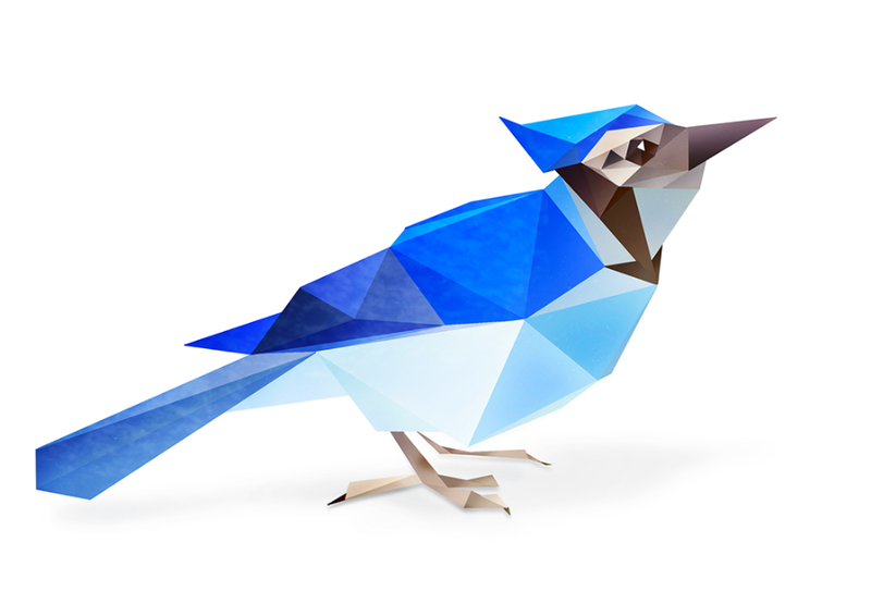 BlueBird Cleaning Solutions's Photo