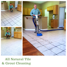 The Specialists All Natural Carpet Cleaning