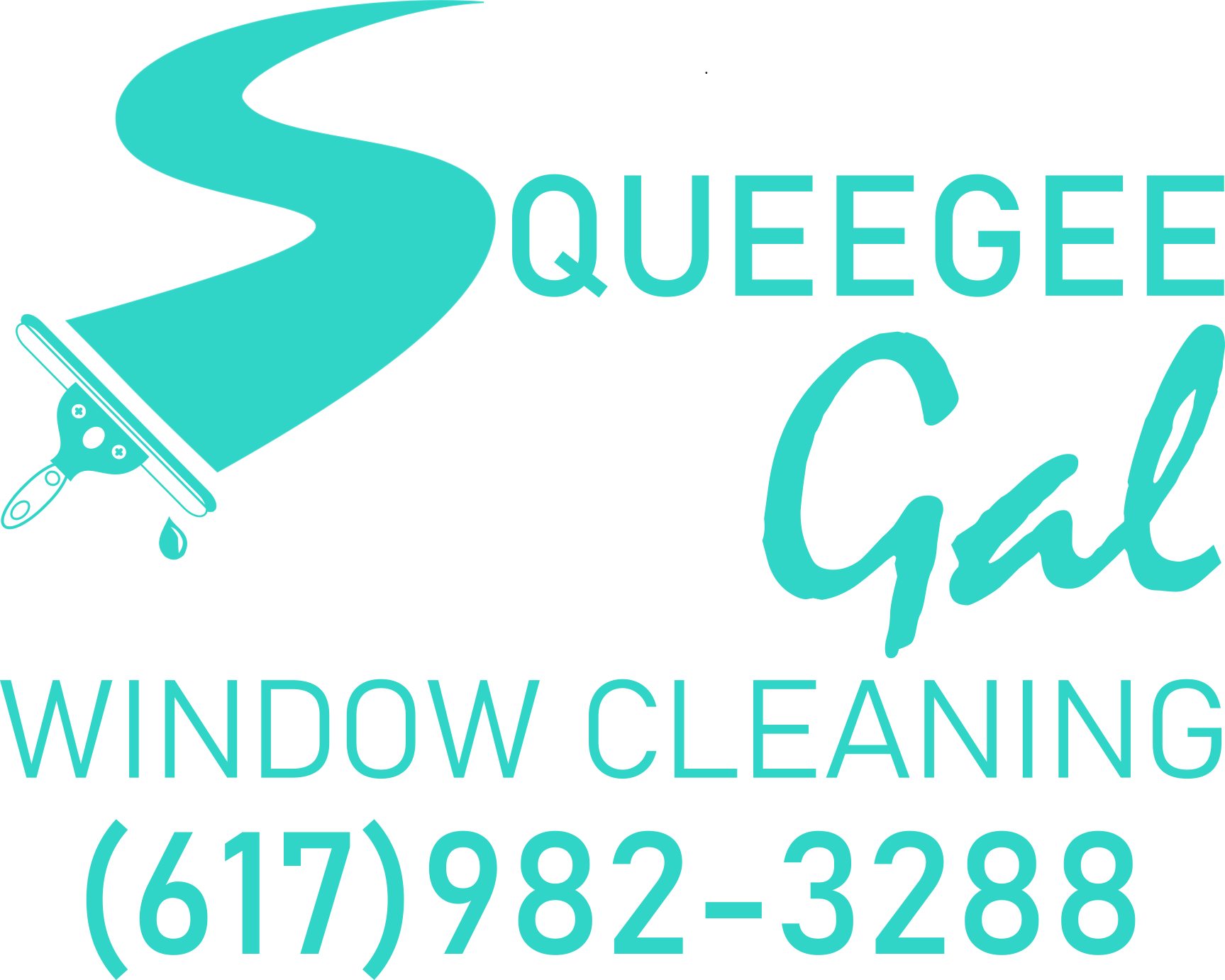Squeegee Gal's Photo