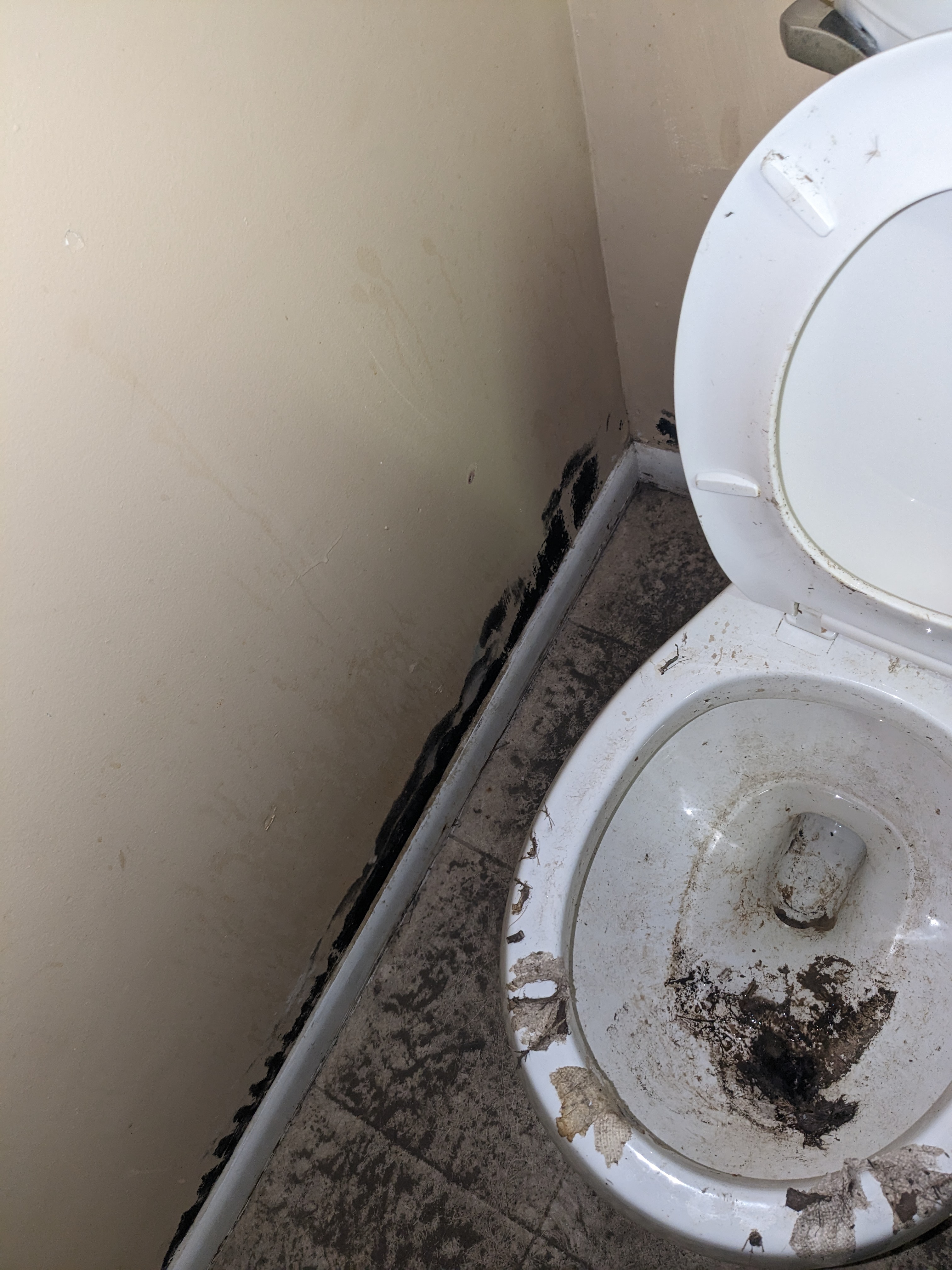 Heavenly Hands dynamic Cleaning's Photo