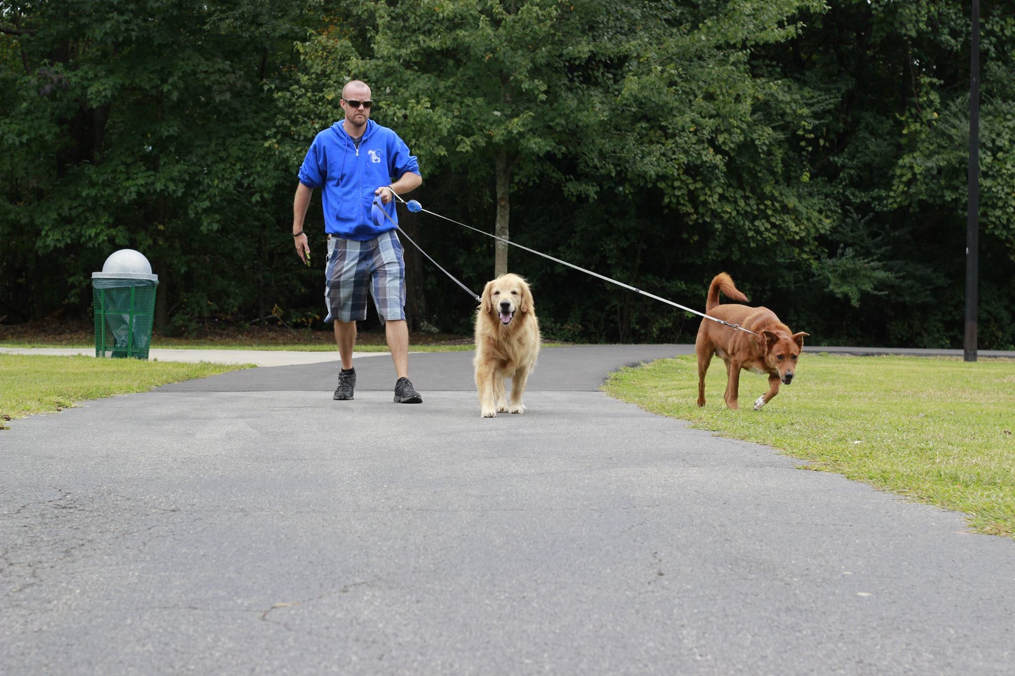 Poop Scoop and Sit's Photo